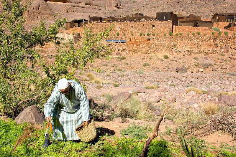 Ecolodge Ouednoujoum Ouarzazate Eksteriør bilde